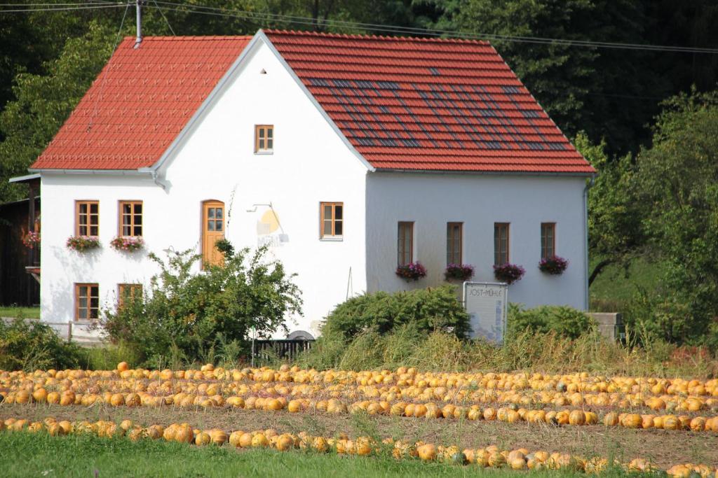 Apartamento Buchgrabenhof Windisch Minihof Exterior foto